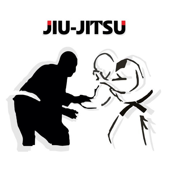 Jiu-Jitsu comercial X Jiu-Jitsu tradicional - Quanto custa/ pesa a sua  faixa? - Bjj Girls Mag